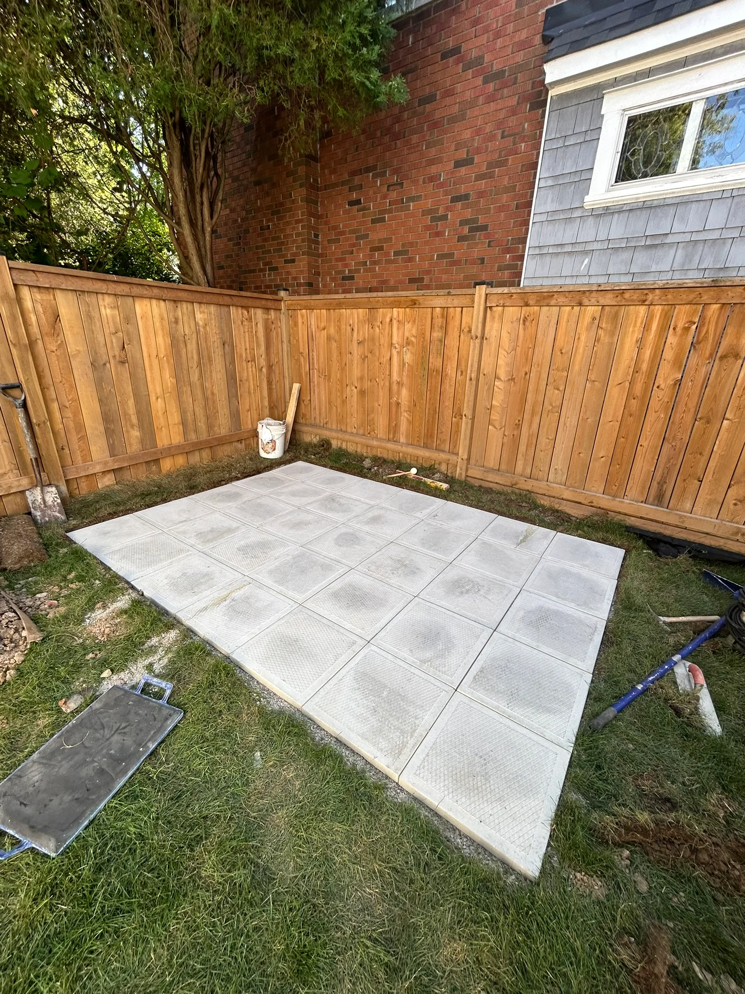 Portfolio image IMG_2428.JPEG