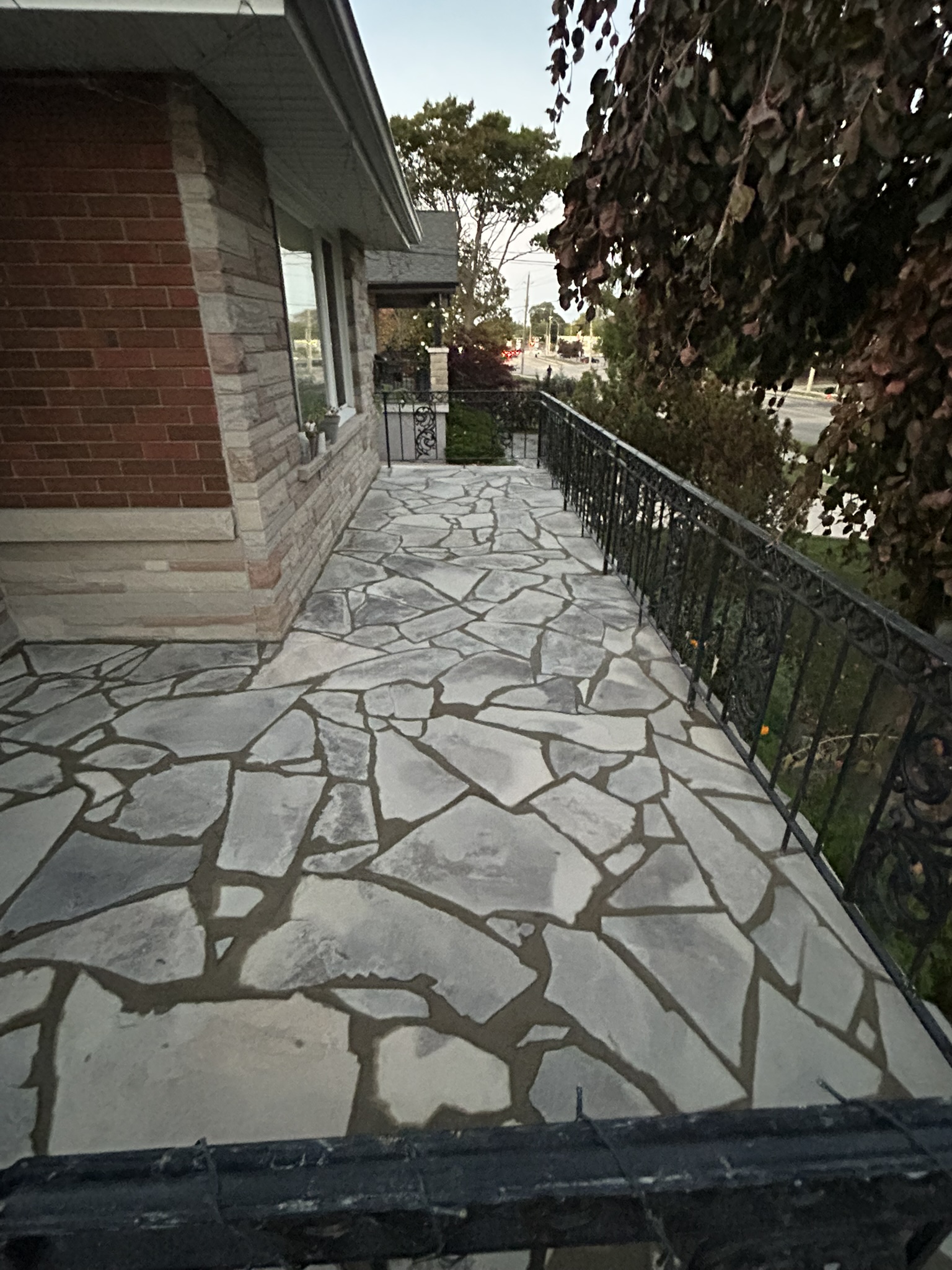 Portfolio image IMG_2769.JPEG