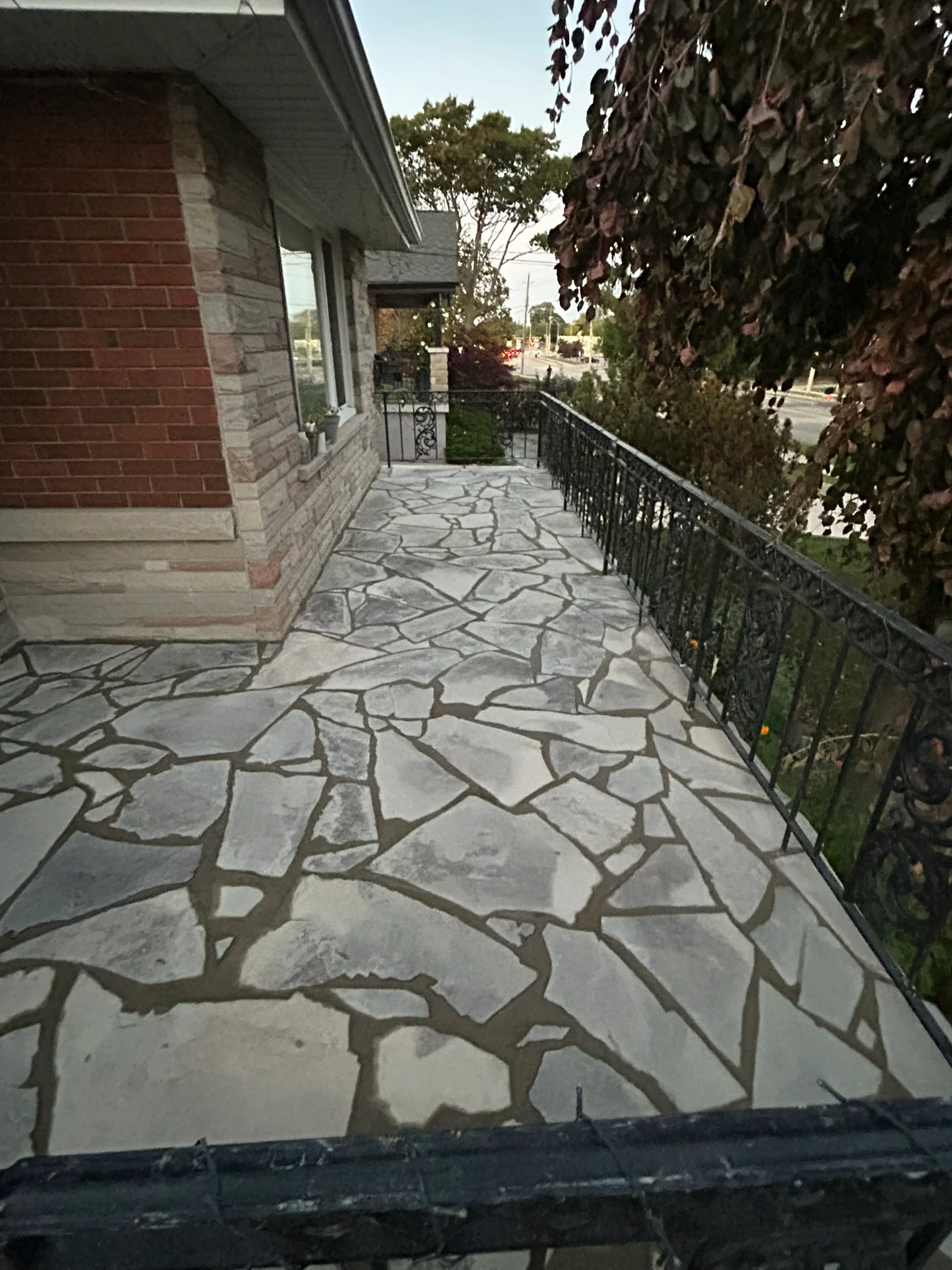 Portfolio image IMG_2769.JPEG