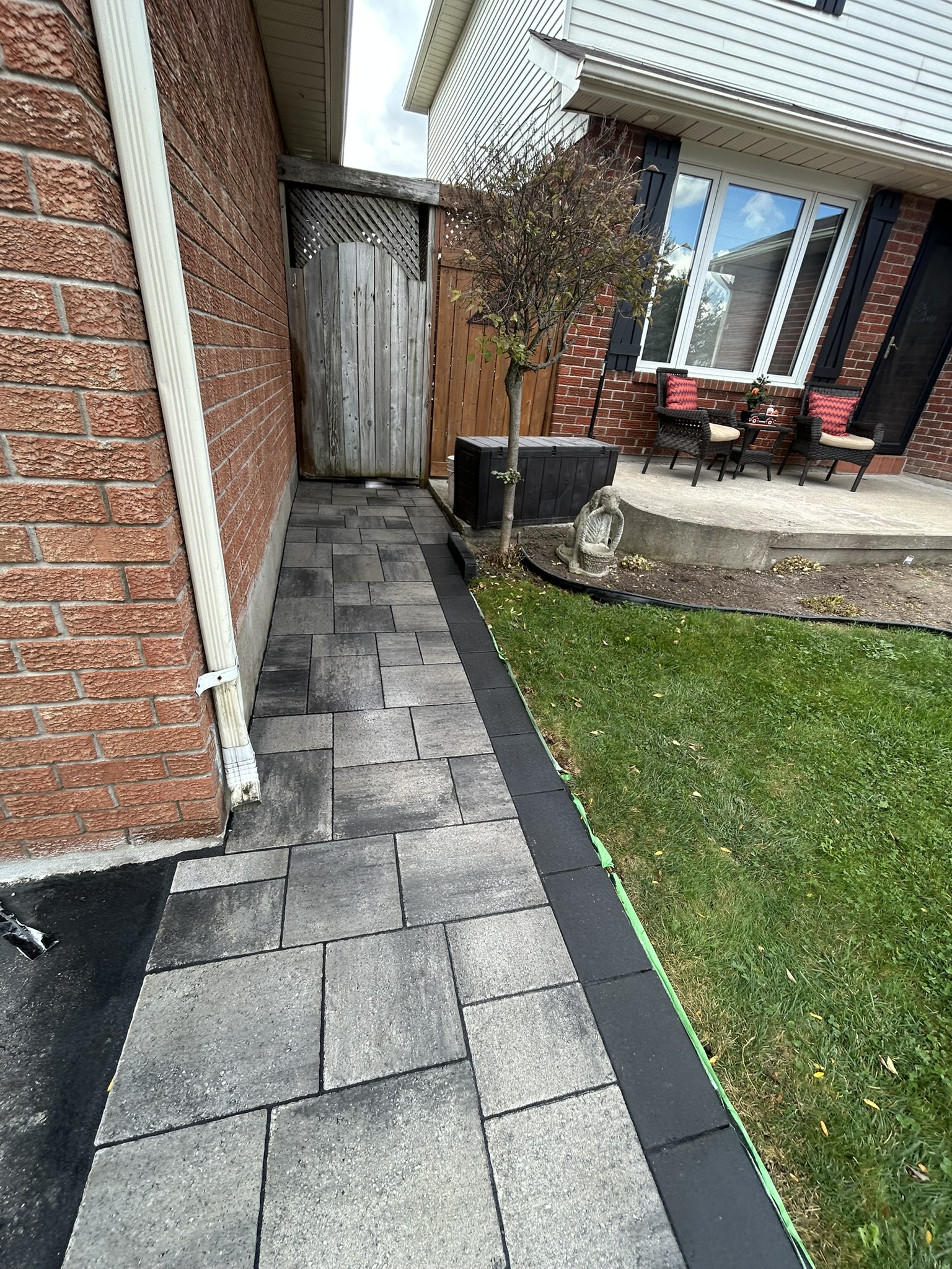 Portfolio image IMG_2791.JPEG