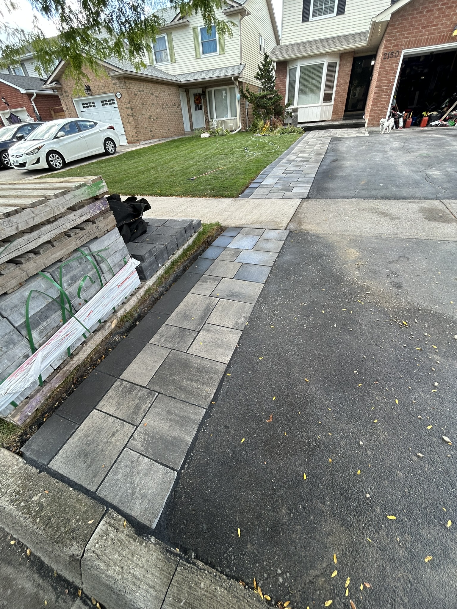 Portfolio image IMG_2794.JPEG