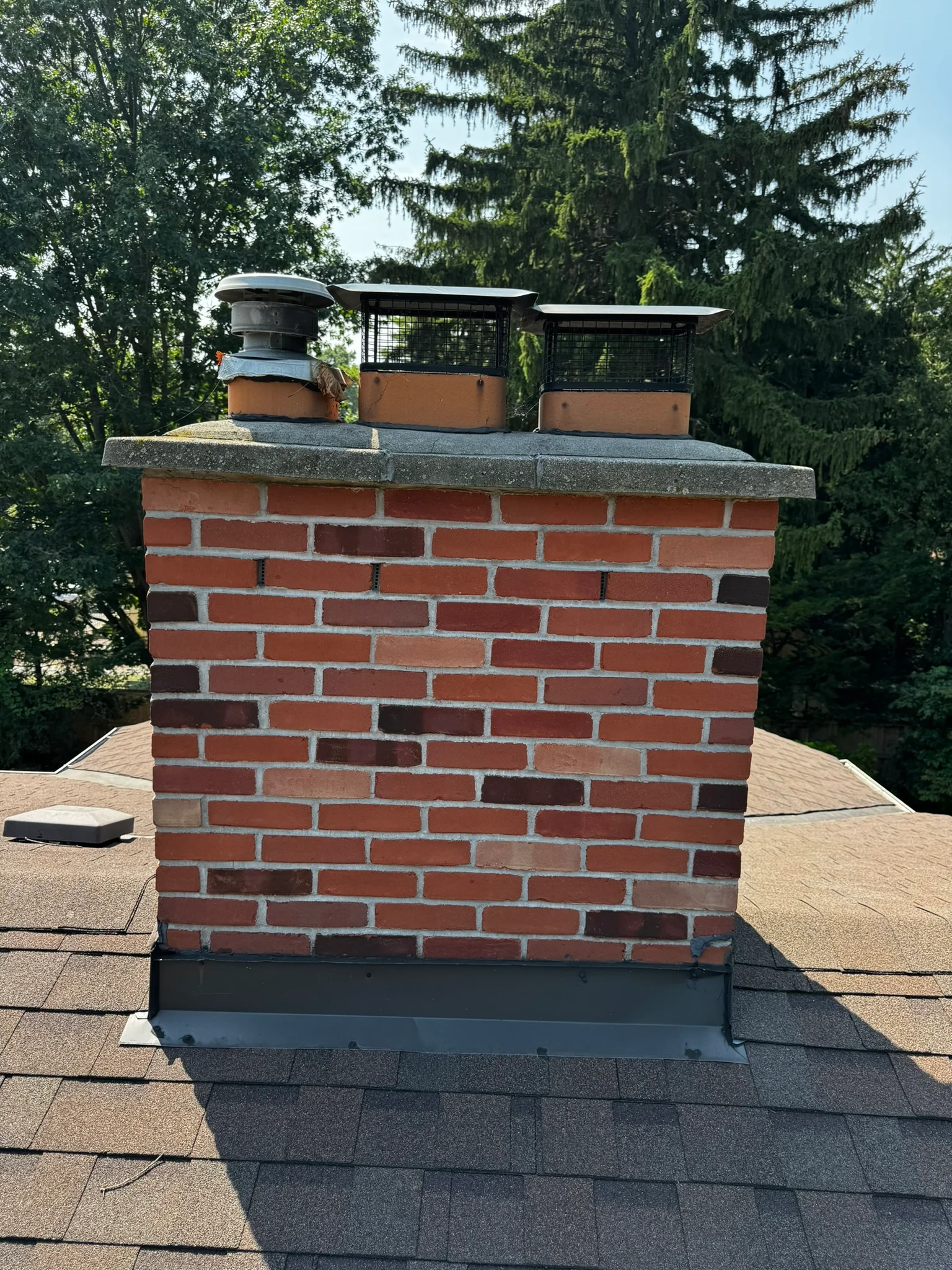 Portfolio image IMG_4567.JPEG